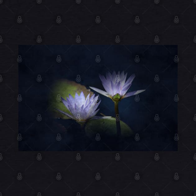 Lotus Flowers in Midnight Blue Digital Art by ButterflyInTheAttic